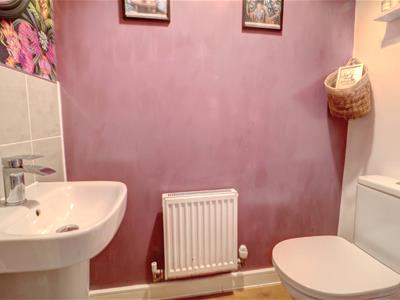 Picture 7